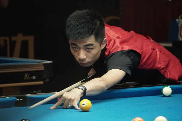 半的样本展 半的样本展